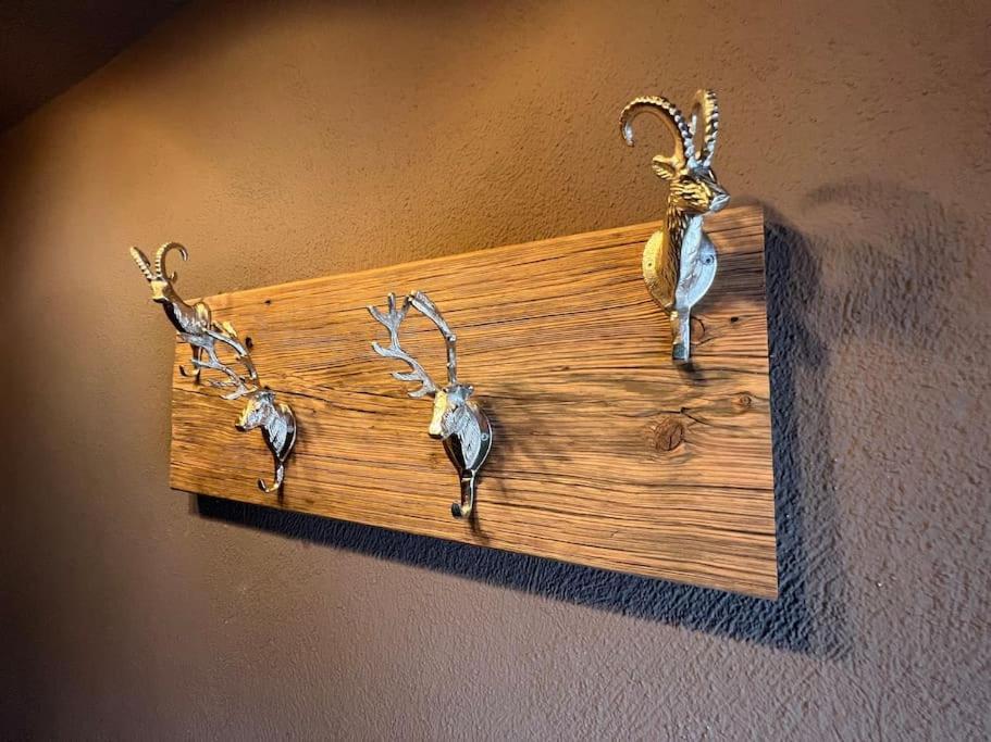 Ferienwohnung Steinbock Terrasse, Gartensauna, Garten, Grillplatz シュトゥンム エクステリア 写真
