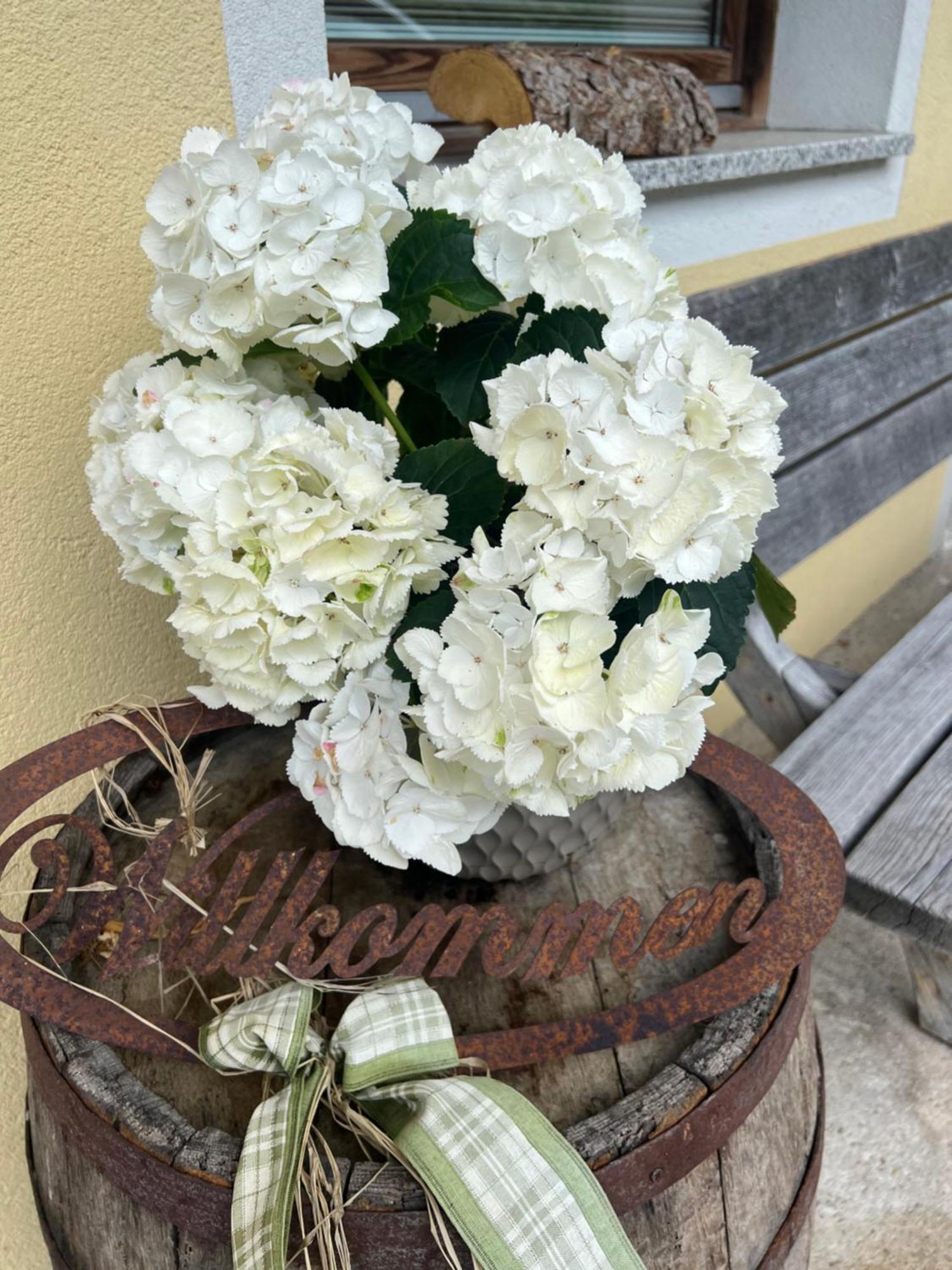 Ferienwohnung Steinbock Terrasse, Gartensauna, Garten, Grillplatz シュトゥンム エクステリア 写真